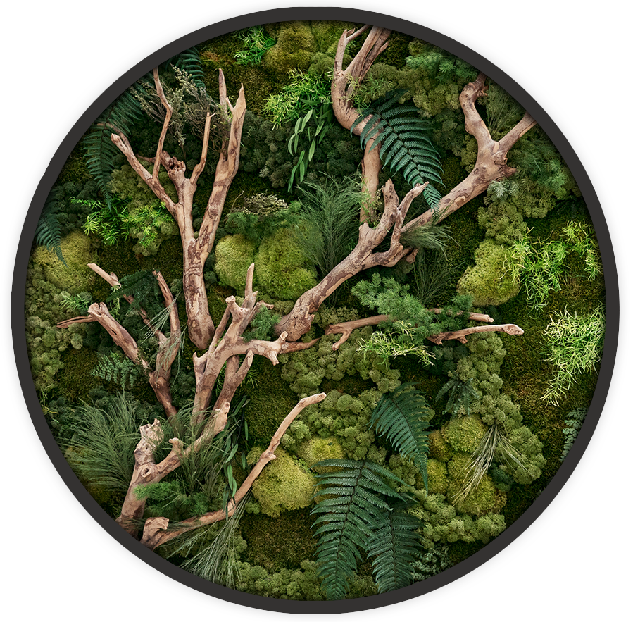 Ecobrick - Forest Spiderwood