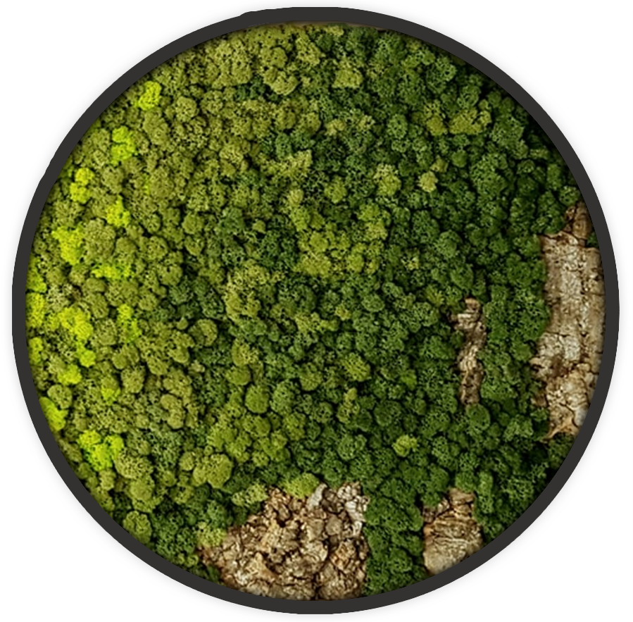 Ecobrick - Modern moss corky